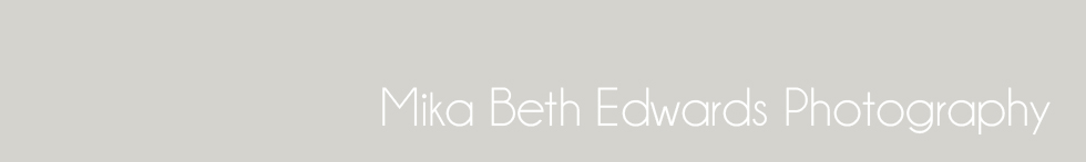 mika beth edwards photography blog logo